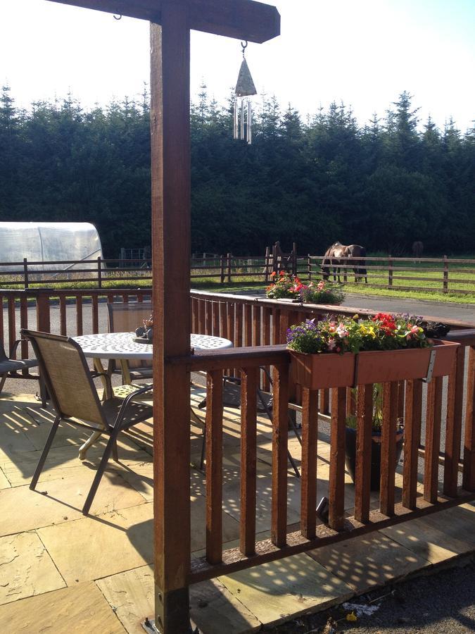 Yeats Lodge B&B Drumcliff Extérieur photo